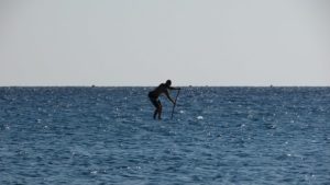 using  Paddle Board 